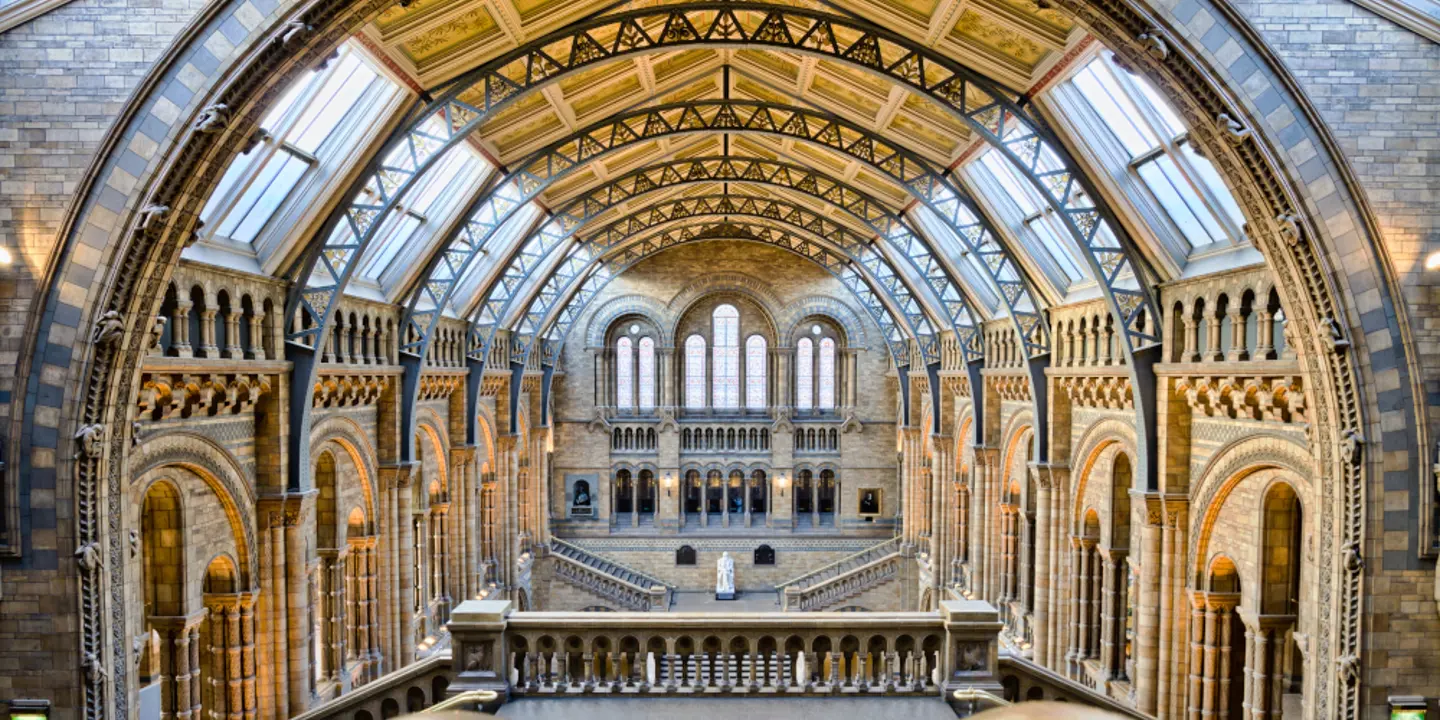 An image depicting a spacious building featuring a prominent skylight.