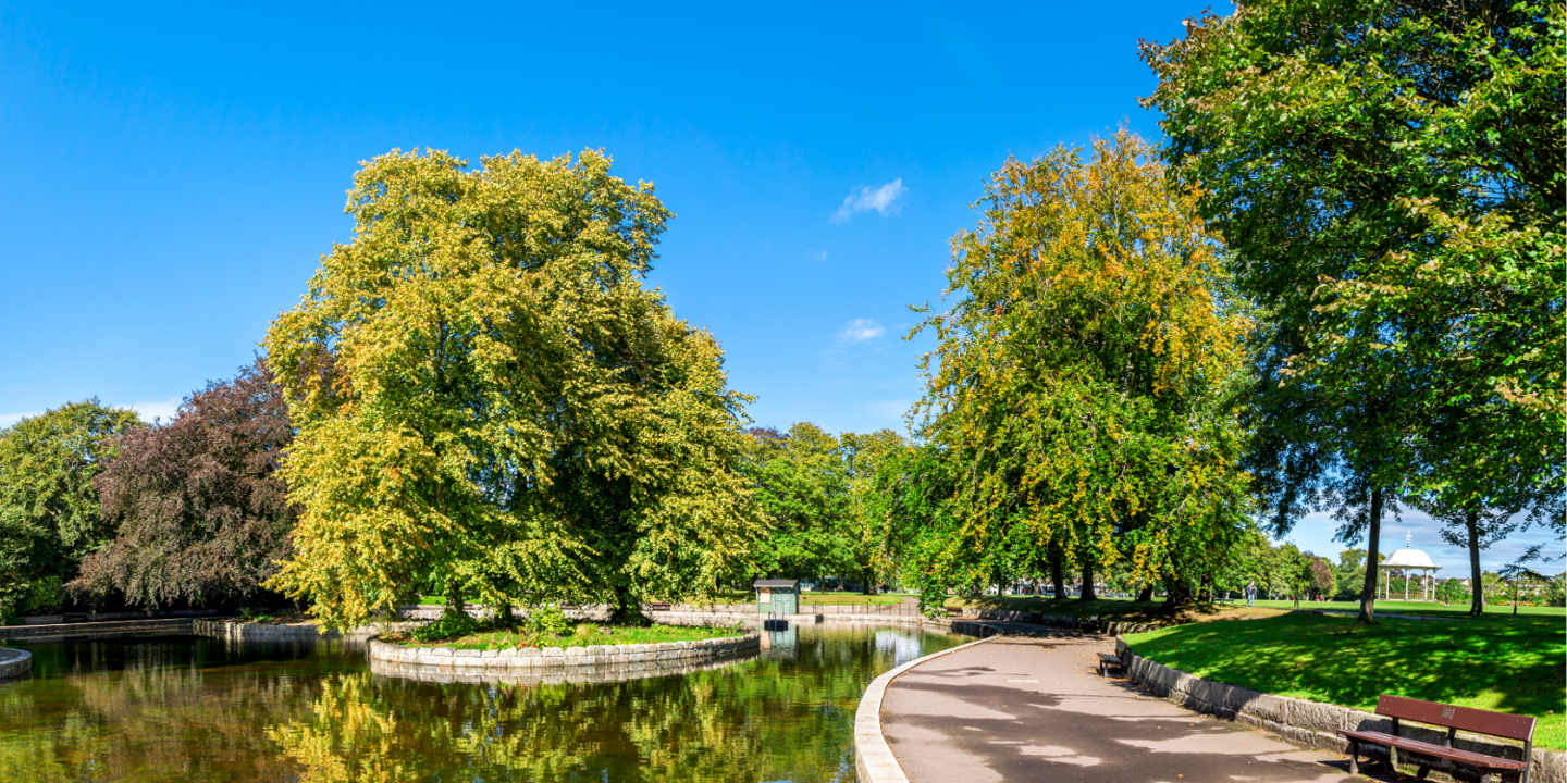 A view of a sunny park with a footpath winding around a still pond. A white grandstand can be seen in the distance, and several trees with plentiful green leaves are prominently visible 