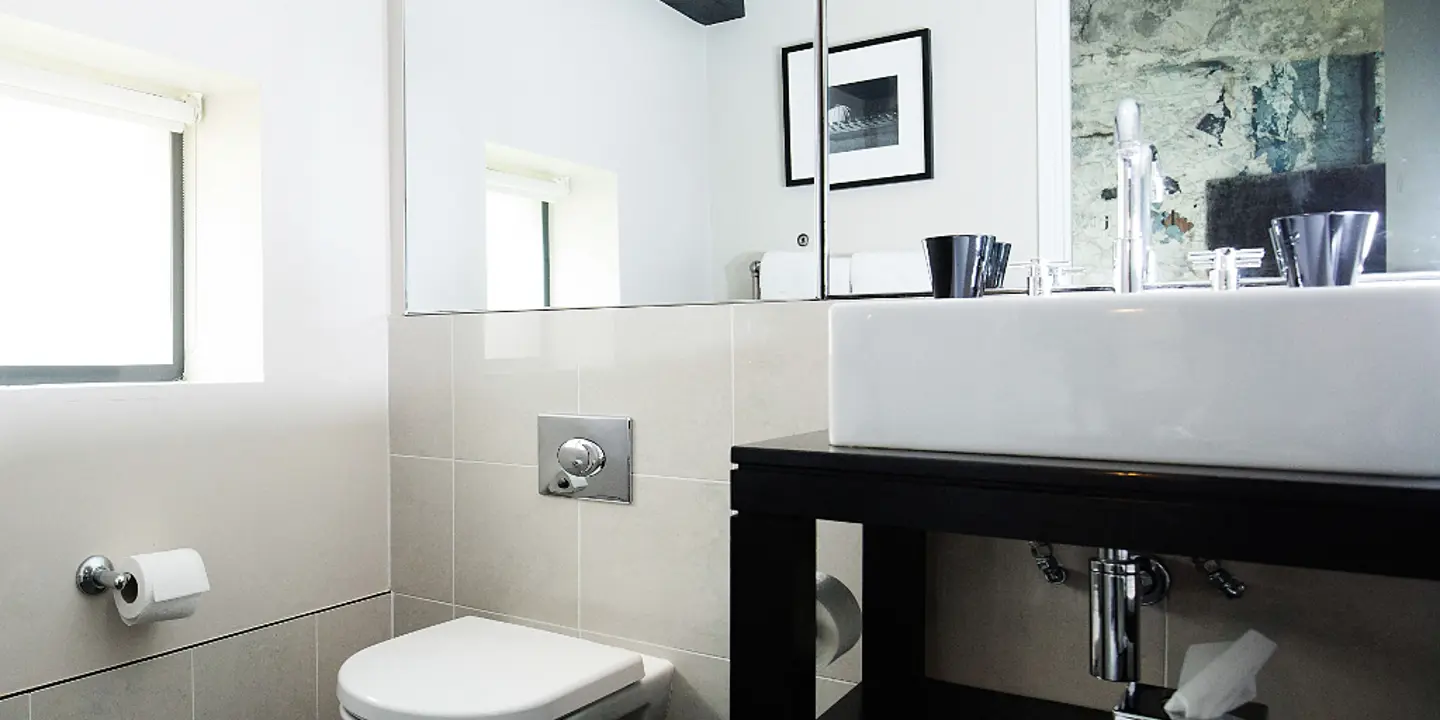 A bathroom featuring a toilet, sink, and mirror.