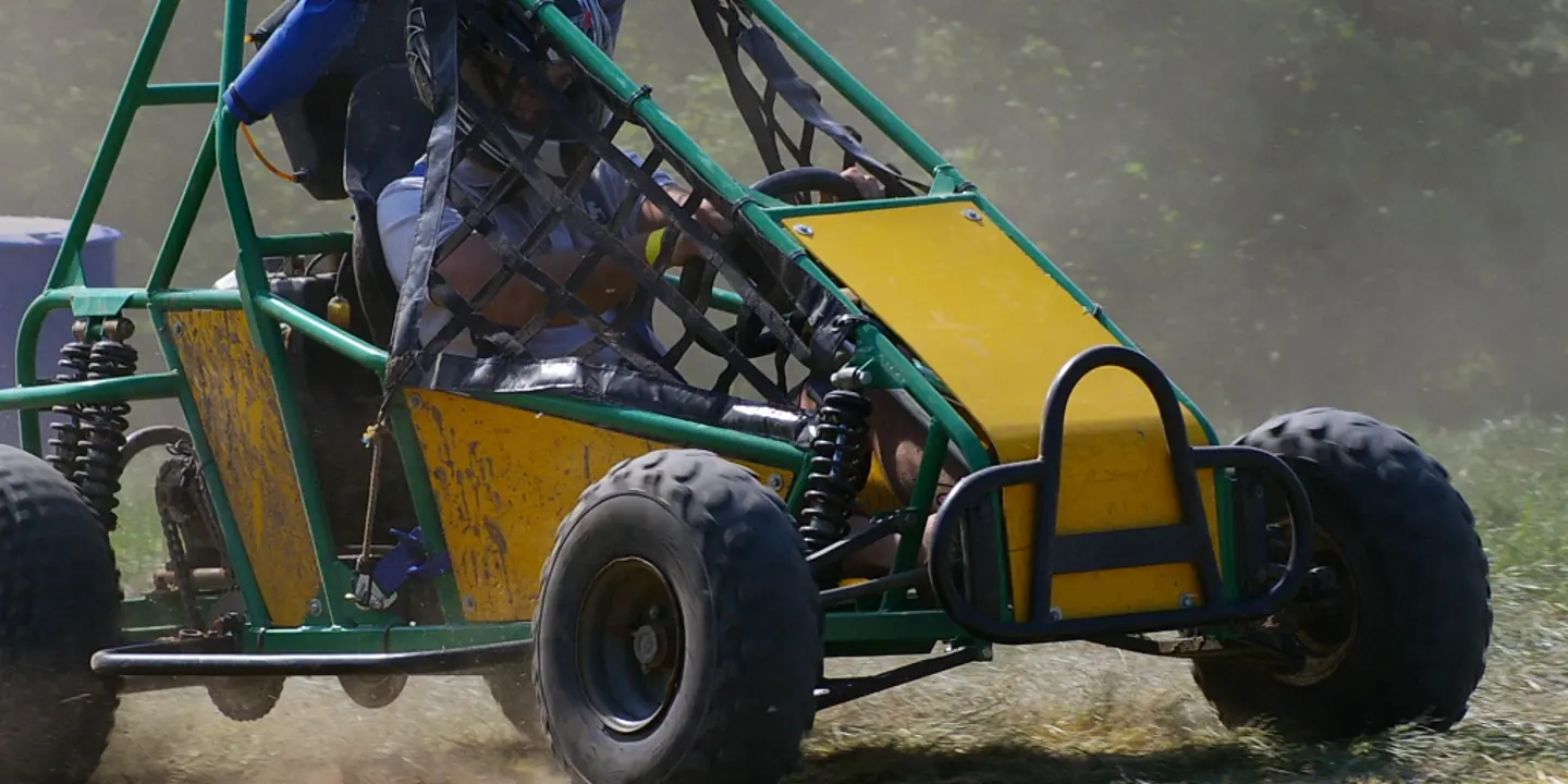 A man driving a buggy on a grass road.